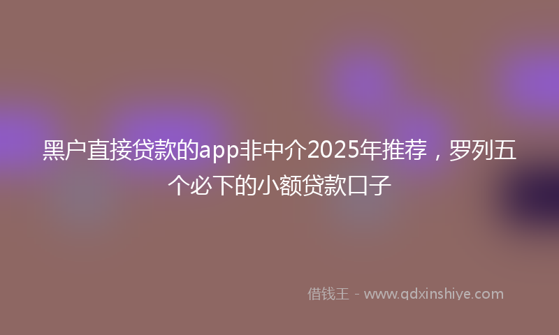 黑户直接贷款的app非中介2025年推荐，罗列五个必下的小额贷款口子