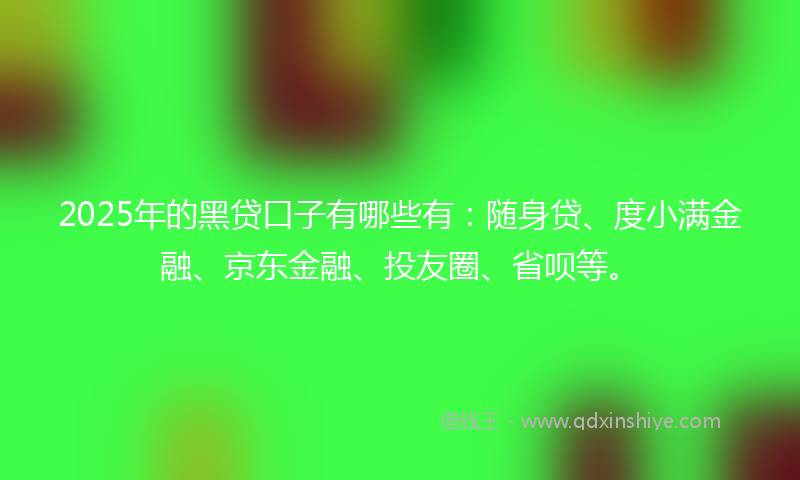 2025年的黑贷口子有哪些有：随身贷、度小满金融、京东金融、投友圈、省呗等。