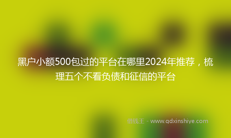 黑户小额500包过的平台在哪里2024年推荐，梳理五个不看负债和征信的平台