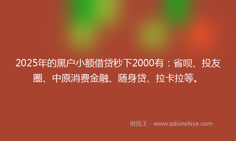2025年的黑户小额借贷秒下2000有：省呗、投友圈、中原消费金融、随身贷、拉卡拉等。