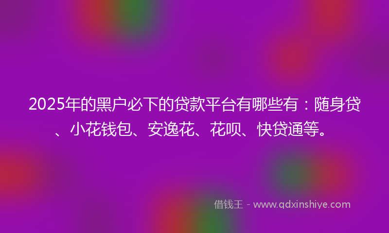 2025年的黑户必下的贷款平台有哪些有：随身贷、小花钱包、安逸花、花呗、快贷通等。