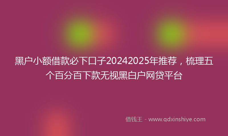 黑户小额借款必下口子20242025年推荐，梳理五个百分百下款无视黑白户网贷平台