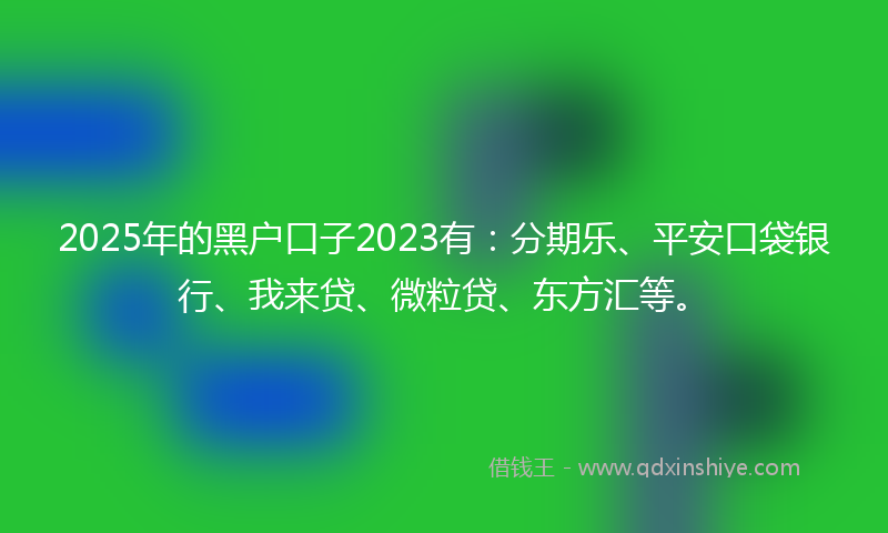 2025年的黑户口子2023有：分期乐、平安口袋银行、我来贷、微粒贷、东方汇等。