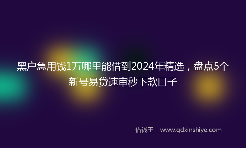 黑户急用钱1万哪里能借到2024年精选，盘点5个新号易贷速审秒下款口子