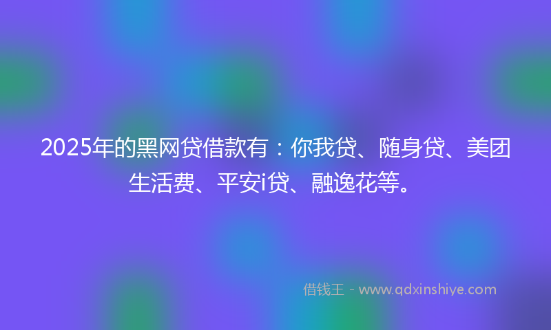 2025年的黑网贷借款有：你我贷、随身贷、美团生活费、平安i贷、融逸花等。