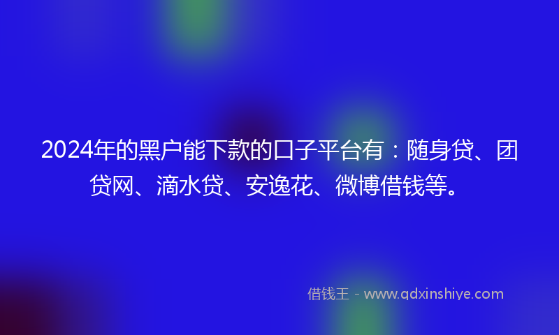 2024年的黑户能下款的口子平台有：随身贷、团贷网、滴水贷、安逸花、微博借钱等。