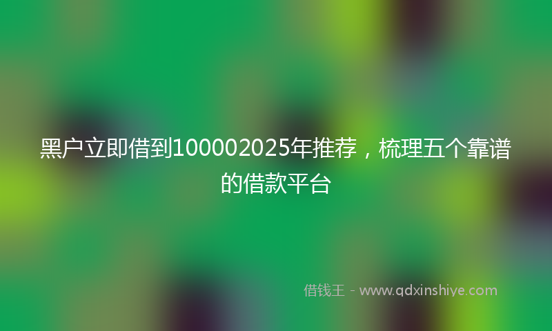 黑户立即借到100002025年推荐，梳理五个靠谱的借款平台