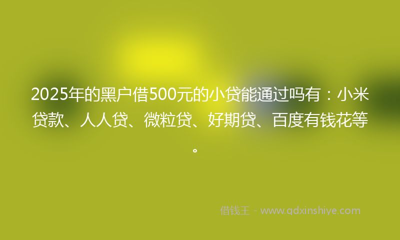 2025年的黑户借500元的小贷能通过吗有：小米贷款、人人贷、微粒贷、好期贷、百度有钱花等。