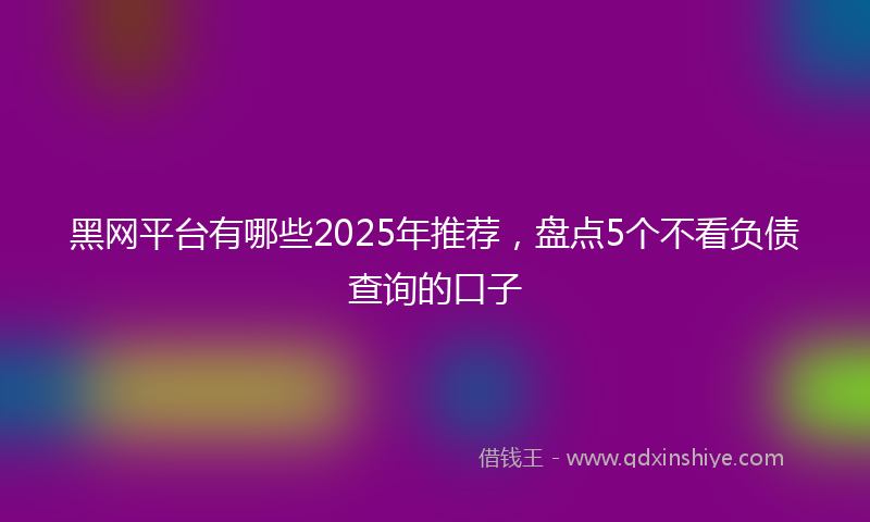 黑网平台有哪些2025年推荐，盘点5个不看负债查询的口子