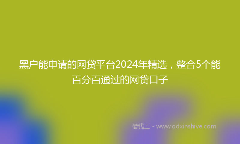 黑户能申请的网贷平台2024年精选，整合5个能百分百通过的网贷口子