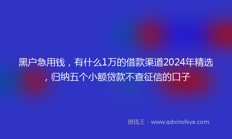 黑户急用钱，有什么1万的借款渠道2024年精选，归纳五个小额贷款不查征信的口子