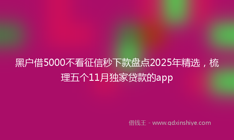 黑户借5000不看征信秒下款盘点2025年精选，梳理五个11月独家贷款的app