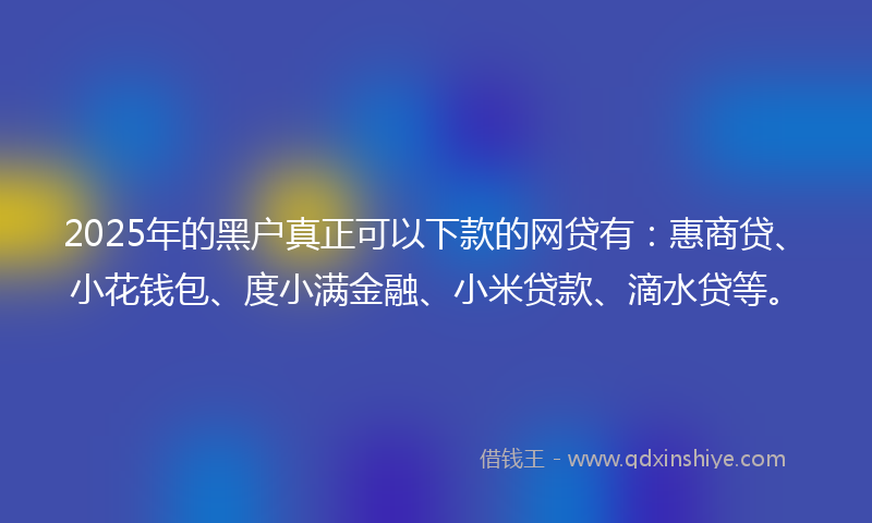 2025年的黑户真正可以下款的网贷有：惠商贷、小花钱包、度小满金融、小米贷款、滴水贷等。