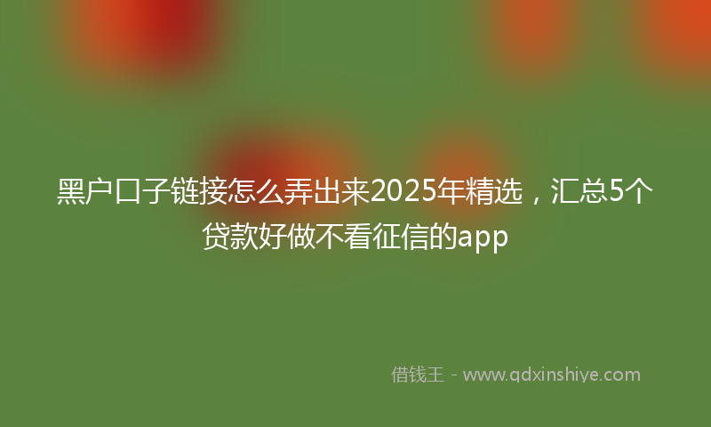 黑户口子链接怎么弄出来2025年精选，汇总5个贷款好做不看征信的app