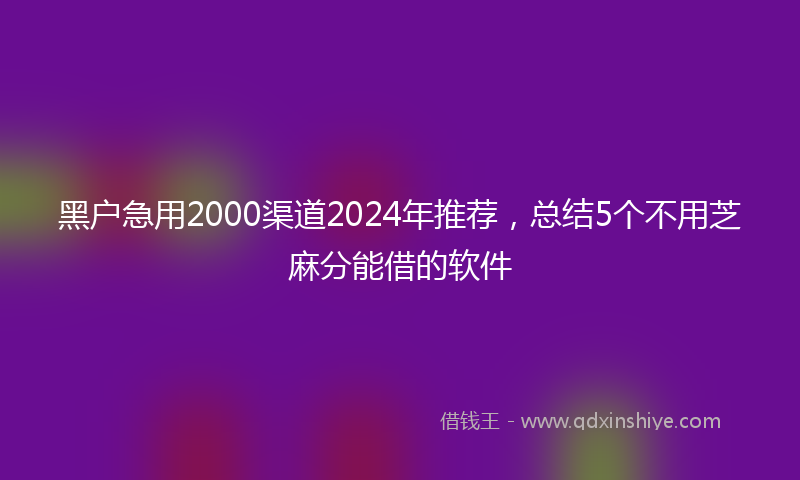 黑户急用2000渠道2024年推荐，总结5个不用芝麻分能借的软件