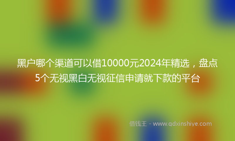 黑户哪个渠道可以借10000元2024年精选，盘点5个无视黑白无视征信申请就下款的平台