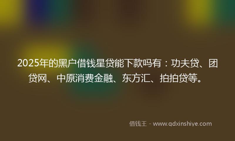 2025年的黑户借钱星贷能下款吗有：功夫贷、团贷网、中原消费金融、东方汇、拍拍贷等。