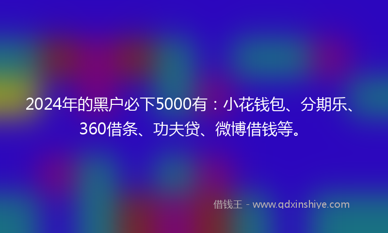 2024年的黑户必下5000有：小花钱包、分期乐、360借条、功夫贷、微博借钱等。