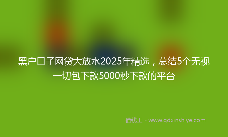 黑户口子网贷大放水2025年精选，总结5个无视一切包下款5000秒下款的平台