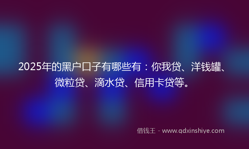 2025年的黑户口子有哪些有：你我贷、洋钱罐、微粒贷、滴水贷、信用卡贷等。