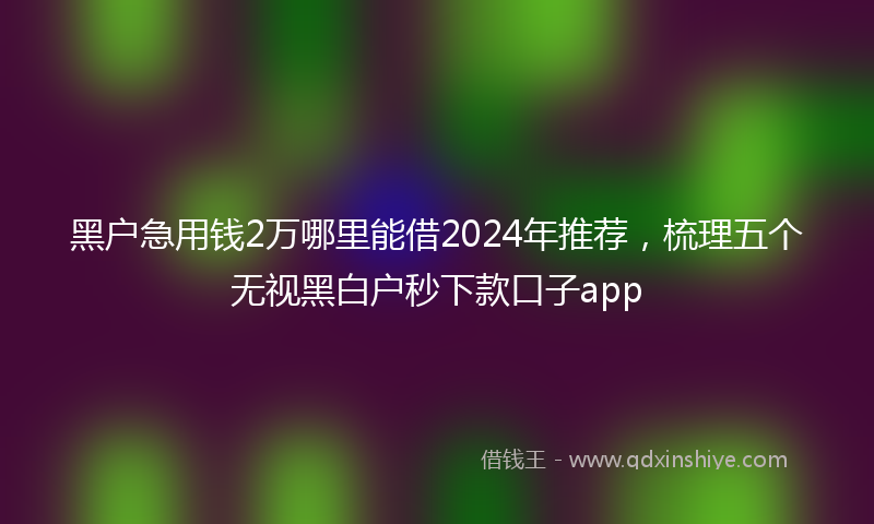 黑户急用钱2万哪里能借2024年推荐，梳理五个无视黑白户秒下款口子app