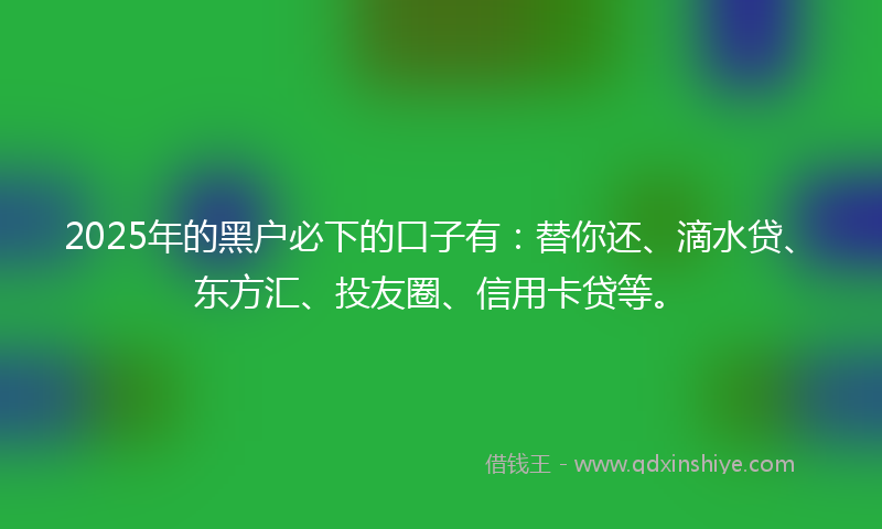 2025年的黑户必下的口子有：替你还、滴水贷、东方汇、投友圈、信用卡贷等。