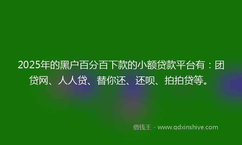2025年的黑户百分百下款的小额贷款平台有：团贷网、人人贷、替你还、还呗、拍拍贷等。