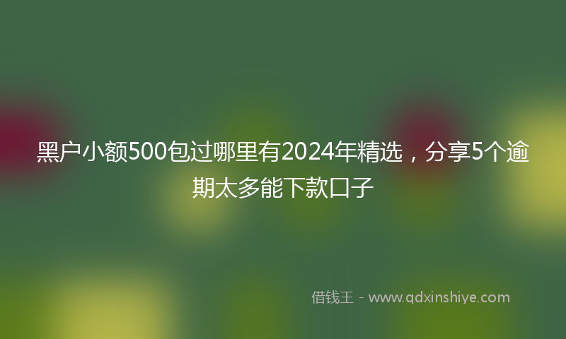 黑户小额500包过哪里有2024年精选，分享5个逾期太多能下款口子