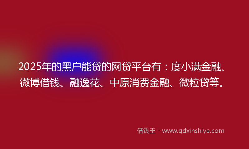 2025年的黑户能贷的网贷平台有：度小满金融、微博借钱、融逸花、中原消费金融、微粒贷等。