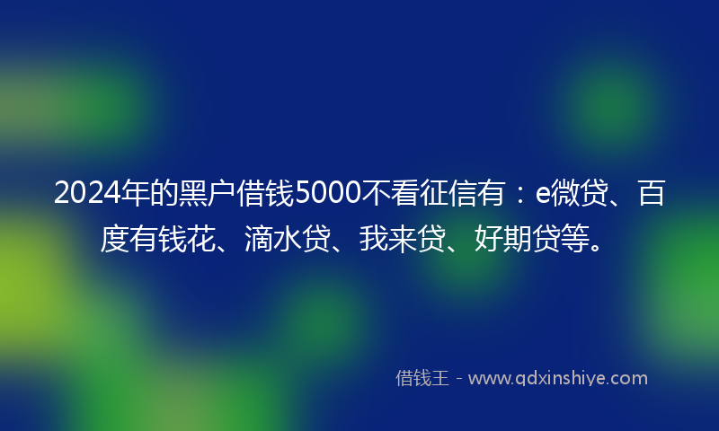 2024年的黑户借钱5000不看征信有：e微贷、百度有钱花、滴水贷、我来贷、好期贷等。
