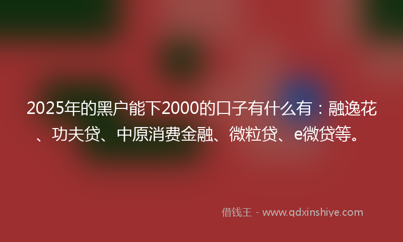 2025年的黑户能下2000的口子有什么有：融逸花、功夫贷、中原消费金融、微粒贷、e微贷等。