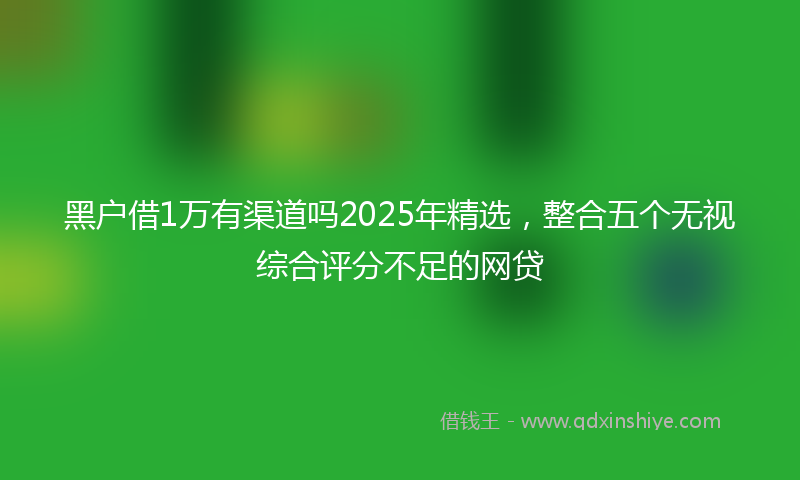 黑户借1万有渠道吗2025年精选，整合五个无视综合评分不足的网贷