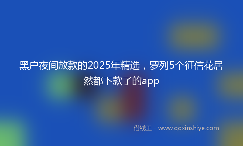 黑户夜间放款的2025年精选，罗列5个征信花居然都下款了的app