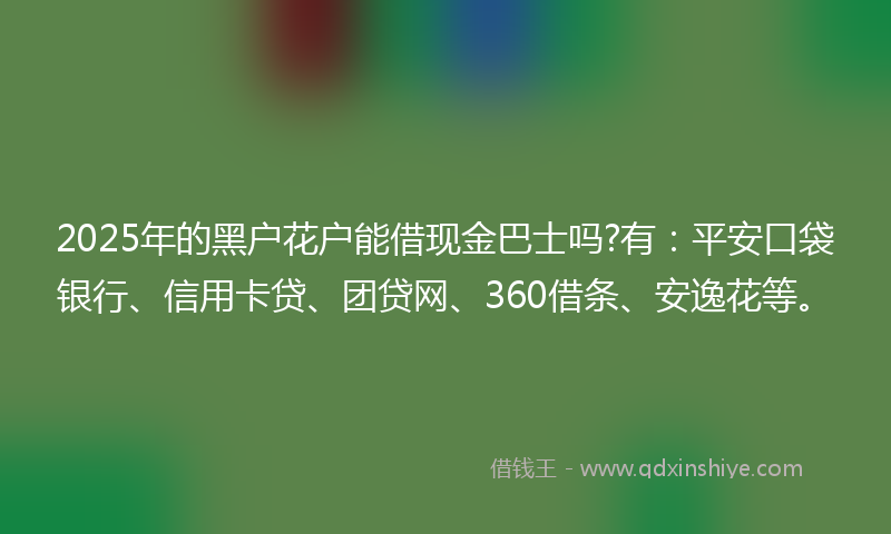 2025年的黑户花户能借现金巴士吗?有：平安口袋银行、信用卡贷、团贷网、360借条、安逸花等。