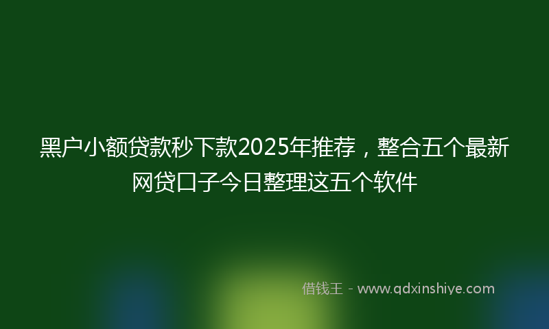 黑户小额贷款秒下款2025年推荐，整合五个最新网贷口子今日整理这五个软件
