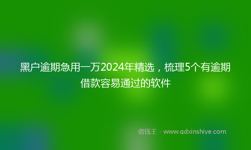 黑户逾期急用一万2024年精选，梳理5个有逾期借款容易通过的软件