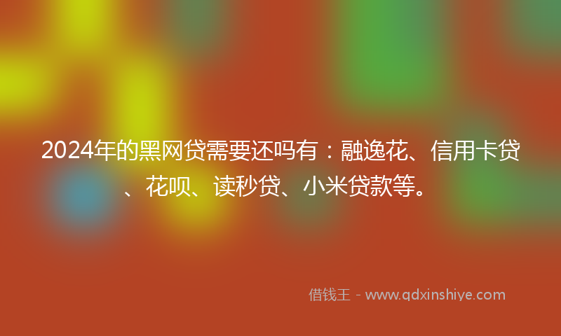 2024年的黑网贷需要还吗有：融逸花、信用卡贷、花呗、读秒贷、小米贷款等。