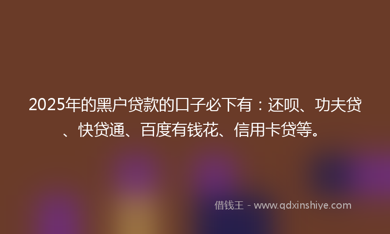 2025年的黑户贷款的口子必下有：还呗、功夫贷、快贷通、百度有钱花、信用卡贷等。