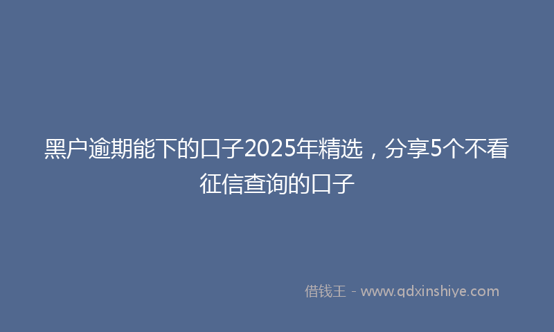 黑户逾期能下的口子2025年精选，分享5个不看征信查询的口子