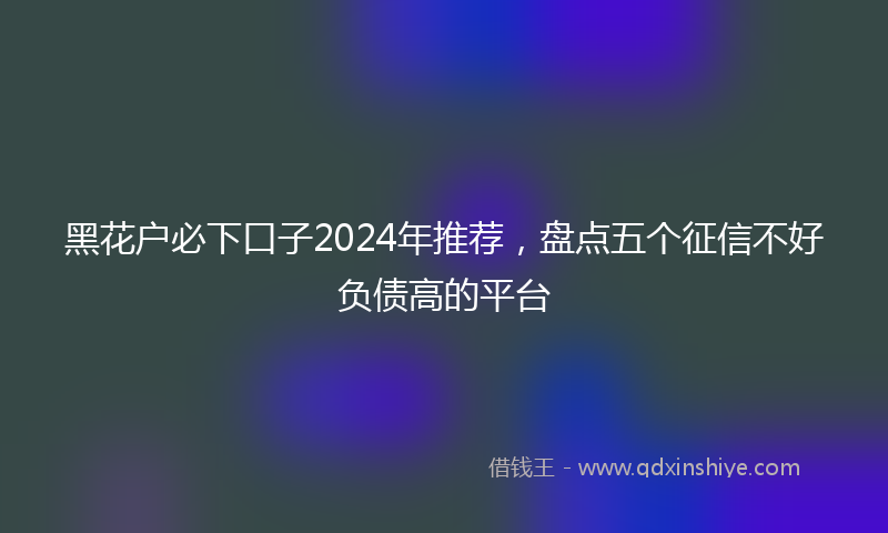 黑花户必下口子2024年推荐，盘点五个征信不好负债高的平台