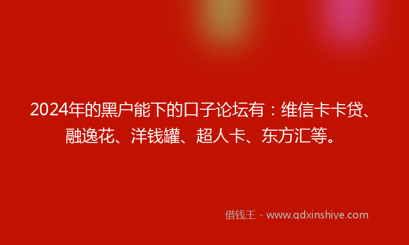 2024年的黑户能下的口子论坛有：维信卡卡贷、融逸花、洋钱罐、超人卡、东方汇等。
