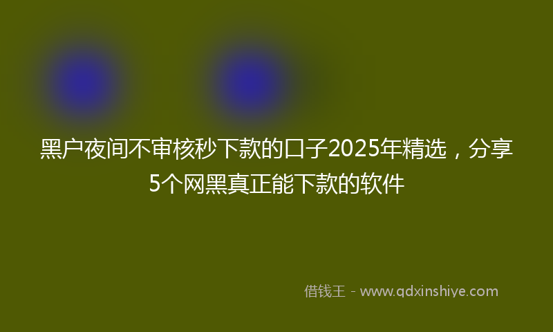 黑户夜间不审核秒下款的口子2025年精选，分享5个网黑真正能下款的软件