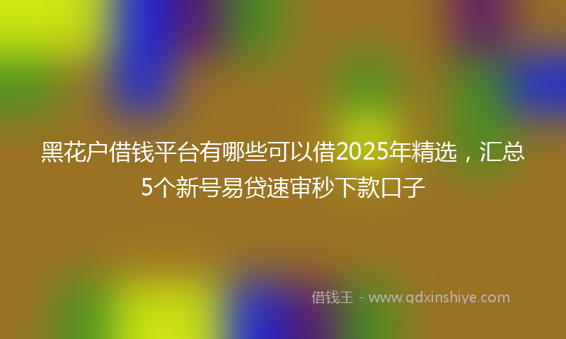 黑花户借钱平台有哪些可以借2025年精选，汇总5个新号易贷速审秒下款口子