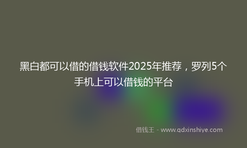 黑白都可以借的借钱软件2025年推荐，罗列5个手机上可以借钱的平台