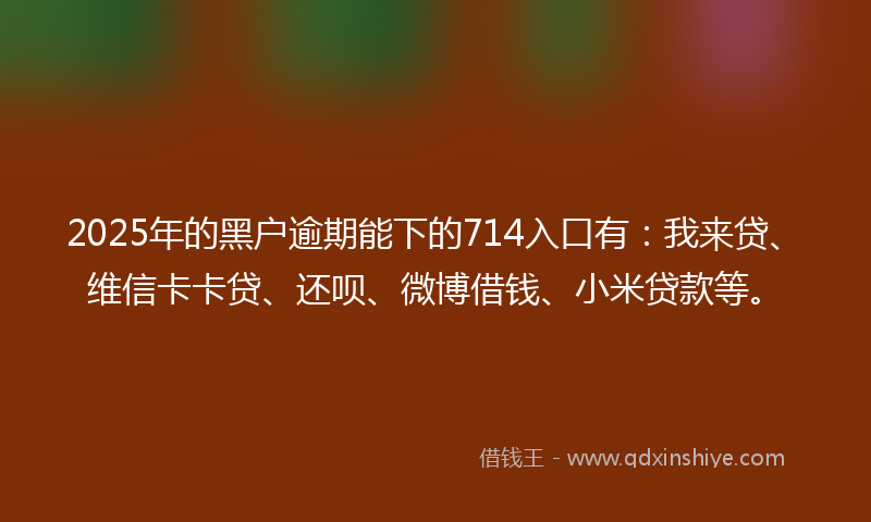 2025年的黑户逾期能下的714入口有：我来贷、维信卡卡贷、还呗、微博借钱、小米贷款等。