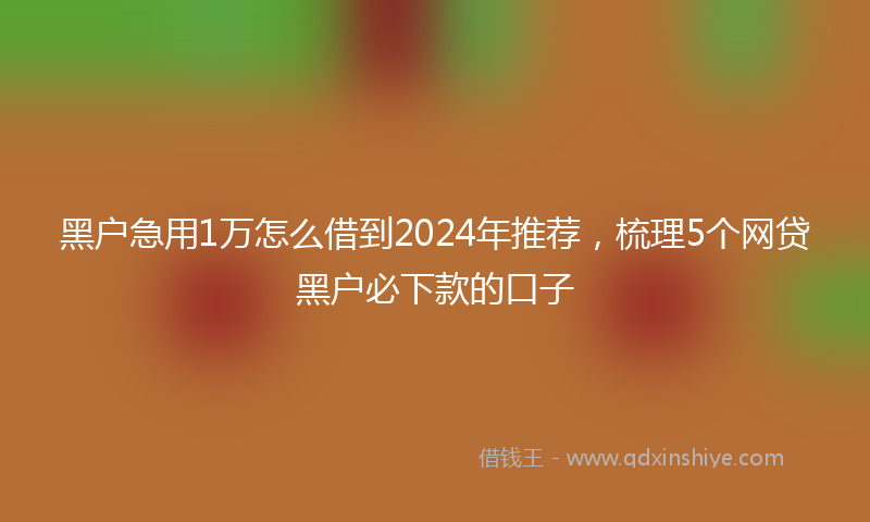 黑户急用1万怎么借到2024年推荐，梳理5个网贷黑户必下款的口子