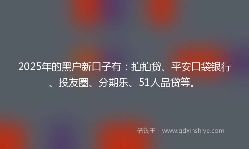 2025年的黑户新口子有：拍拍贷、平安口袋银行、投友圈、分期乐、51人品贷等。