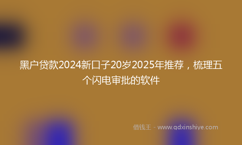 黑户贷款2024新口子20岁2025年推荐，梳理五个闪电审批的软件