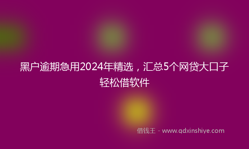 黑户逾期急用2024年精选，汇总5个网贷大口子轻松借软件