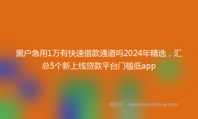 黑户急用1万有快速借款通道吗2024年精选，汇总5个新上线贷款平台门槛低app